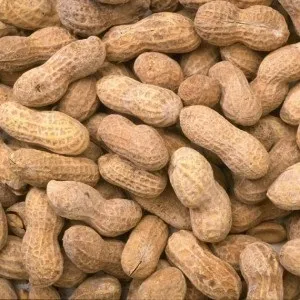 Арахіс користь, шкода і калорійність, food and health