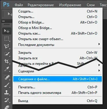 Авторські права і особисті дані на фотографії (copyright) (дані) Авторські права і особисті дані на фотографії (copyright)