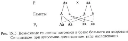 Аутосомно-домінантний тип спадкування захворювання - студопедія (захворювання) Аутосомно-домінантний тип спадкування захворювання - студопедія