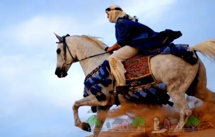 Арабський кінь і кінь огляд чистокровної породи скакунів з фото і відео (жеребець) Арабський кінь і кінь огляд чистокровної породи скакунів з фото і відео