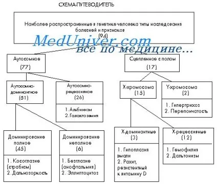 Аутосомно-домінантний тип спадкування (що таке) Аутосомно-домінантний тип спадкування
