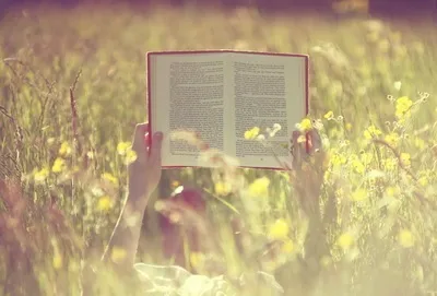 Бабуся, АБиК і апашка, книжкова полиця