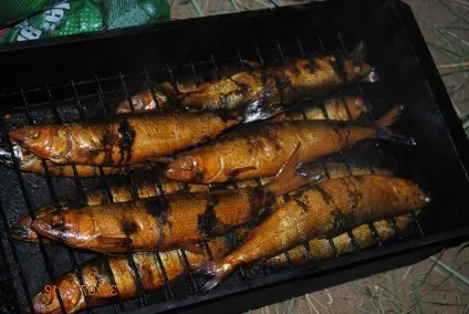 Байкальський омуль