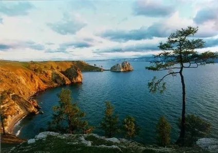 Байкальський омуль