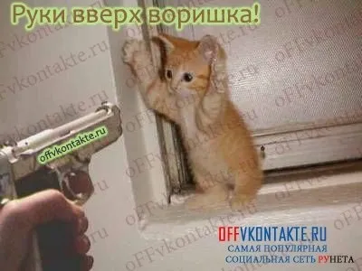 Безпека вконтакте - захист сторінки в контакті від злому - в контакті статуси і аватарки для (буде) Безпека вконтакте - захист сторінки в контакті від злому - в контакті статуси і аватарки для