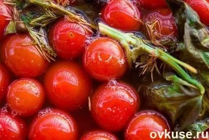 Бочкові помідори - прості рецепти (зелених бочкових помідор) Бочкові помідори - прості рецепти