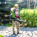 Боротьба з короїдом методи і засоби (боротьба) Боротьба з короїдом методи і засоби