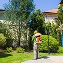 Боротьба з короїдом методи і засоби (боротьба з жуком короїдом) Боротьба з короїдом методи і засоби