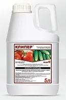 Боротьба з короїдом методи і засоби (застосування обробка стовбурів дерев) Боротьба з короїдом методи і засоби