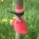 Боротьба з мурахами на дачній ділянці безжальні методи (методи) Боротьба з мурахами на дачній ділянці безжальні методи