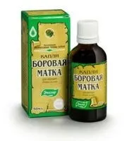 Борова матка і червона щітка при міомі (щітка) Борова матка і червона щітка при міомі