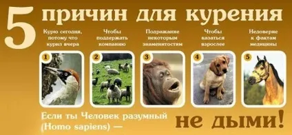 Кинути палити - інвестиція в здоров'я №1 (курити) Кинути палити - інвестиція в здоров'я №1