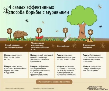 Боротьба з мурахами на дачі