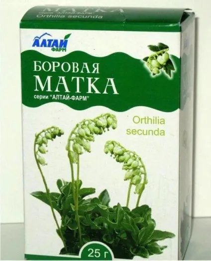 Борова матка при міомі відгуки лікарів і пацієнток (відгуки) Борова матка при міомі відгуки лікарів і пацієнток