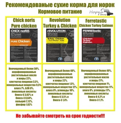 Чим годувати нірку в домашніх умовах харчування - зміст норки - база знань - норка в будинку mink (годувати) Чим годувати нірку в домашніх умовах харчування - зміст норки - база знань - норка в будинку mink