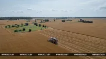 РЕПОРТАЖ Загальна справа - мінські підприємства допомагають селянам збирати врожай репортаж
