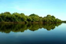 Річка Уссурі уссурі