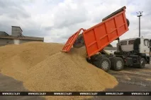 РЕПОРТАЖ Загальна справа - мінські підприємства допомагають селянам збирати врожай загальна