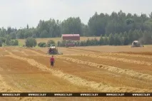 РЕПОРТАЖ Загальна справа - мінські підприємства допомагають селянам збирати врожай загальна