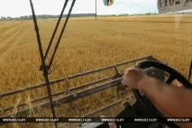 РЕПОРТАЖ Загальна справа - мінські підприємства допомагають селянам збирати врожай репортаж