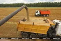 РЕПОРТАЖ Загальна справа - мінські підприємства допомагають селянам збирати врожай підприємства