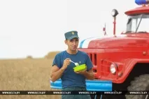 РЕПОРТАЖ Загальна справа - мінські підприємства допомагають селянам збирати врожай мінські