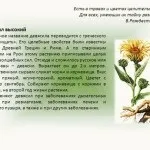 Що буде якщо наковтатися різних таблеток передозування таблетками - allwomens, технології здоров'я