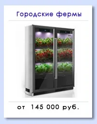 Що робити, якщо батьки дівчини проти наших відносин 3. квітня 2016 (батьки) Що робити, якщо батьки дівчини проти наших відносин 3. квітня 2016