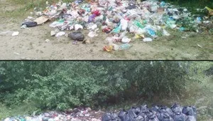 Що може об'єднати двох незнайомих жінок (незнайомих) Що може об'єднати двох незнайомих жінок
