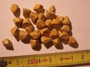 Що робити при каменях в жовчному міхурі в першу чергу рекомендації лікарів (каменів жовчному міхурі) Що робити при каменях в жовчному міхурі в першу чергу рекомендації лікарів