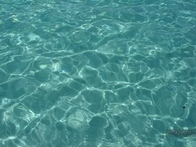 Що мене здивувало 1
