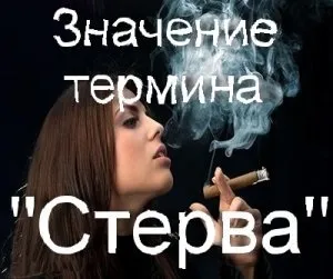 Що означає стерва що значить стерва жінка (що означає) Що означає стерва що значить стерва жінка