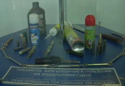 Що можна взяти з собою в літак правила проведення передпольотного і післяпольотного оглядів (взяти) Що можна взяти з собою в літак правила проведення передпольотного і післяпольотного оглядів
