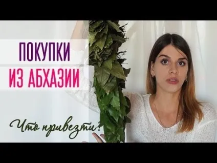 Що можна вивезти з Абхазії в Україну через митницю і скільки алкоголю допускається (Абхазії) Що можна вивезти з Абхазії в Україну через митницю і скільки алкоголю допускається