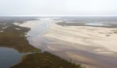 Що таке або хто такий обапол