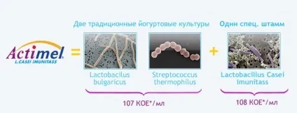 Що таке актимель