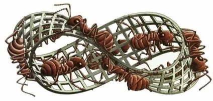Що таке стрічка Мебіуса, чорт забирай (стрічка) Що таке стрічка Мебіуса, чорт забирай