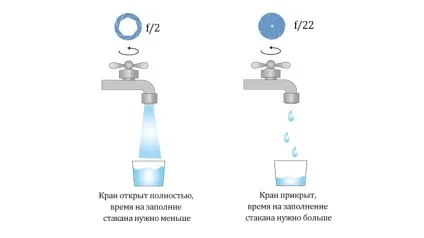 Що таке експопара 1