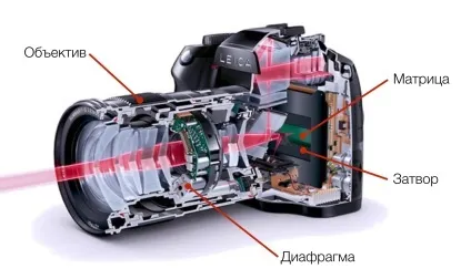 Що таке експопара 1