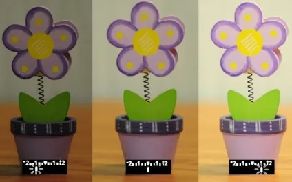 Що таке експопара