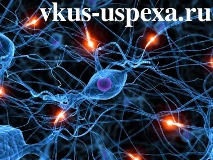 Що таке нерви і як їх загартувати (нерви) Що таке нерви і як їх загартувати