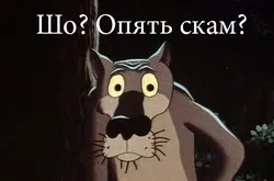Що таке скам - як від нього захиститися, його ознаки та причини (нього) Що таке скам - як від нього захиститися, його ознаки та причини