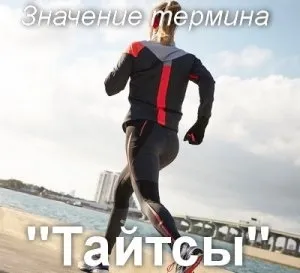Що значить тайтси як зрозуміти слово тайтси переклад та походження (значить) Що значить тайтси як зрозуміти слово тайтси переклад та походження