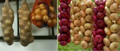 Що зберігають в льосі як зберігати капусту, буряк взимку, відео-інструкція по зберіганню овочів своїми (зберігають) Що зберігають в льосі як зберігати капусту, буряк взимку, відео-інструкція по зберіганню овочів своїми