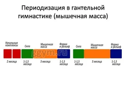 Що таке періодизація тренувань, фітнес для розумних людей (періодизація) Що таке періодизація тренувань, фітнес для розумних людей