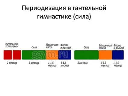 Що таке періодизація тренувань, фітнес для розумних людей (періодизація) Що таке періодизація тренувань, фітнес для розумних людей