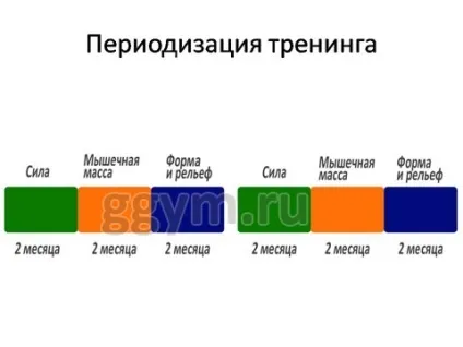 Що таке періодизація тренувань, фітнес для розумних людей (періодизація тренувань) Що таке періодизація тренувань, фітнес для розумних людей