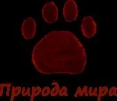 Цвітіння води причини і особливості