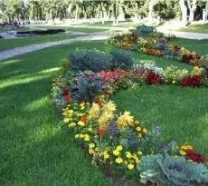 Квітники своїми руками на дачі ідеї, поради, інструкції