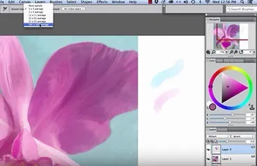 Corel painter 2017